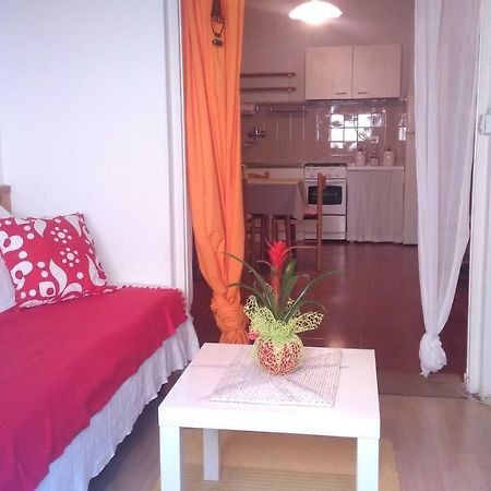 Apartment Bela Novigrad Istria Dış mekan fotoğraf