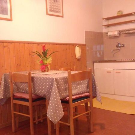 Apartment Bela Novigrad Istria Dış mekan fotoğraf