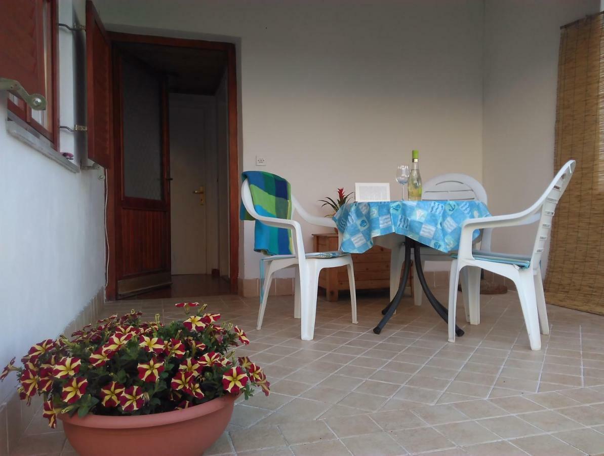 Apartment Bela Novigrad Istria Dış mekan fotoğraf